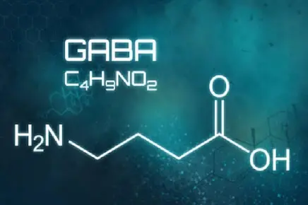 GABA associated with the Yu Sleep formula