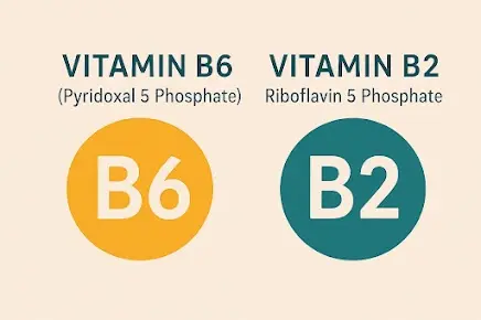 Vitamin B6 & B2 associated with the Yu Sleep formula